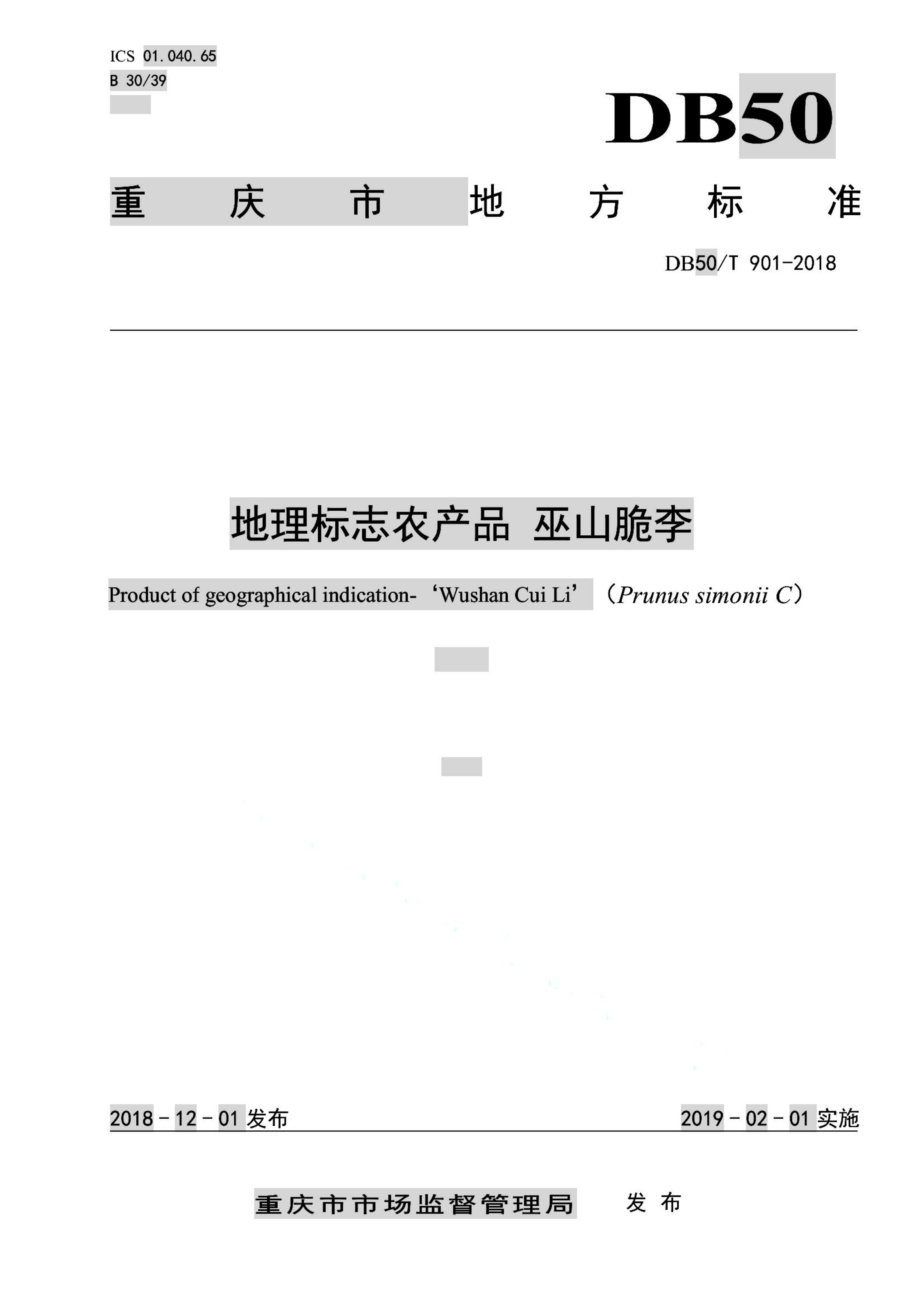 资源详情图